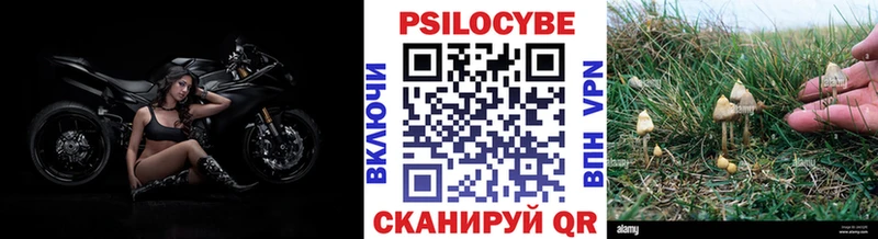Галлюциногенные грибы прущие грибы  Вилюйск 